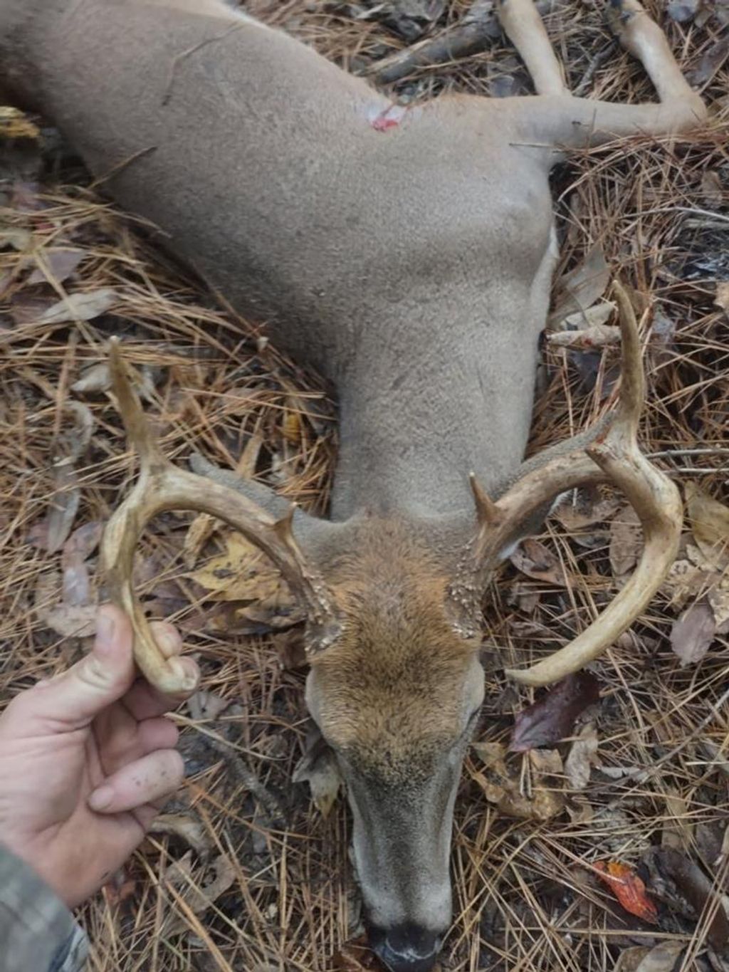 Photo of 7850 Highway 6 West, BATESVILLE, MS 38606 (MLS # 167202)