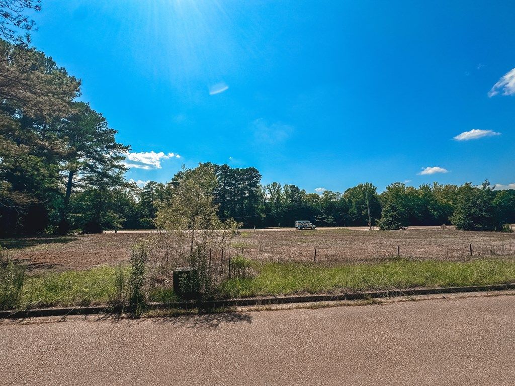 Photo of 501 HWY 7 South, OXFORD, MS 38655 (MLS # 166901)