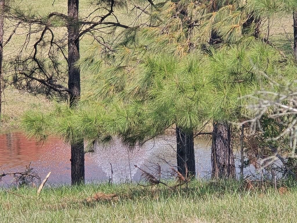 Photo of 252 CR 303(Old Taylor Road), OXFORD, MS 38655 (MLS # 166944)