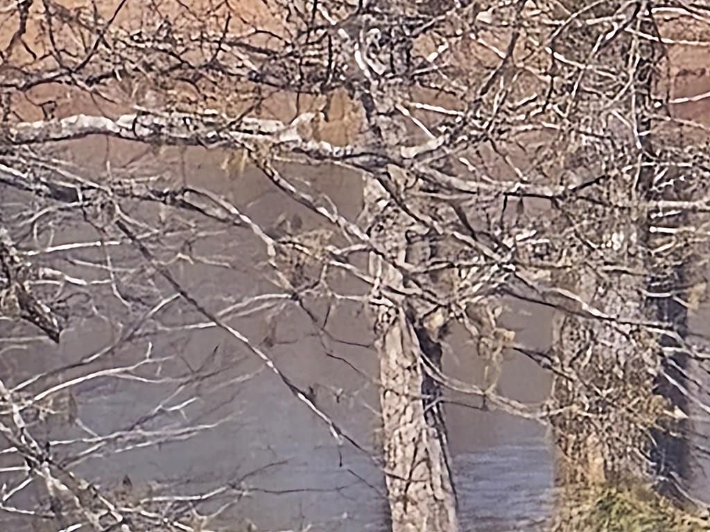 Photo of 252 CR 303(Old Taylor Road), OXFORD, MS 38655 (MLS # 166944)