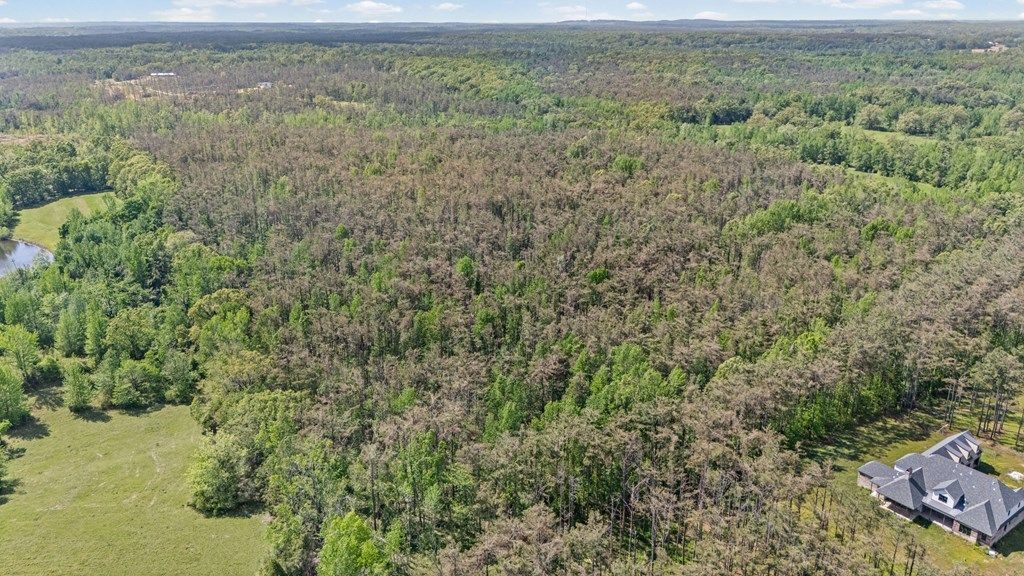 Photo of TBD Cr 313, OXFORD, MS 38655 (MLS # 167224)