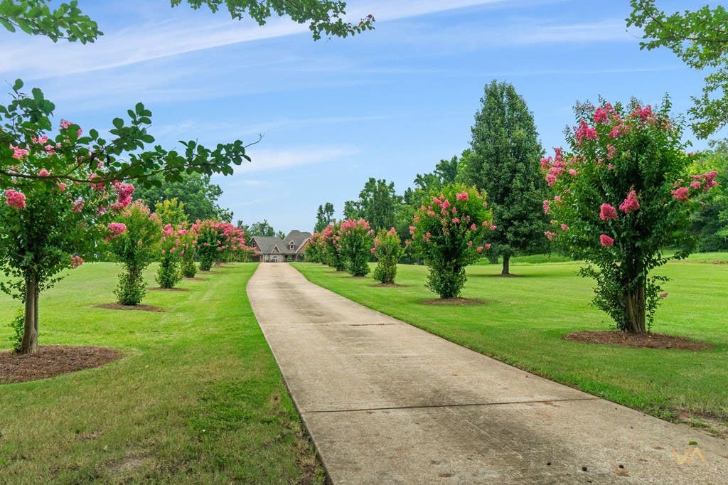 Photo of WATER VALLEY, MS 38965 (MLS # 168222)