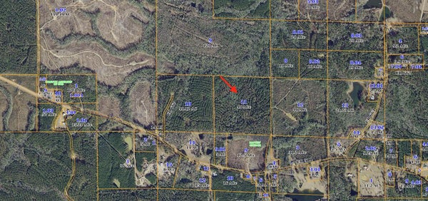 MAE AVE, QUITMAN, MS 39355 - Image 25cc0576cb1d1a02e4c1f99f202bb2d9/338060178
