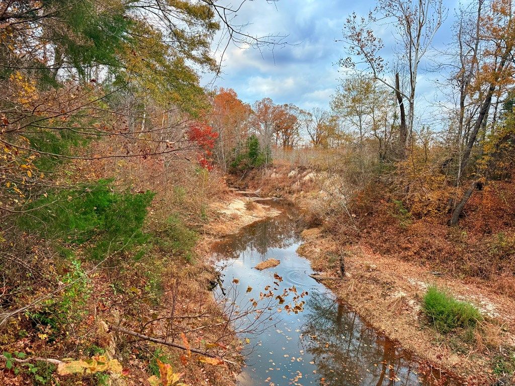 Photo of 00 Hwy 9, BRUCE, MS 38915 (MLS # 162177)