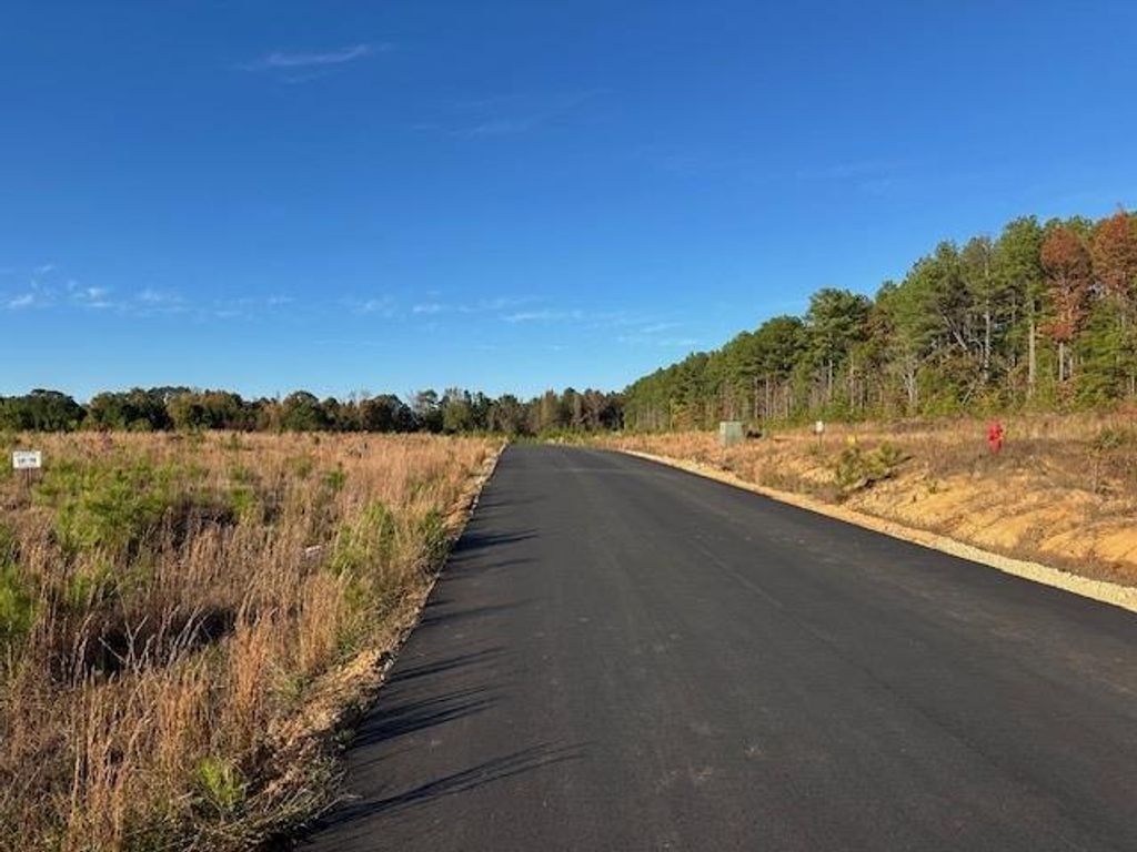 Photo of Lot 80 Thaxton Hills Dr, THAXTON, MS 38871 (MLS # 162058)