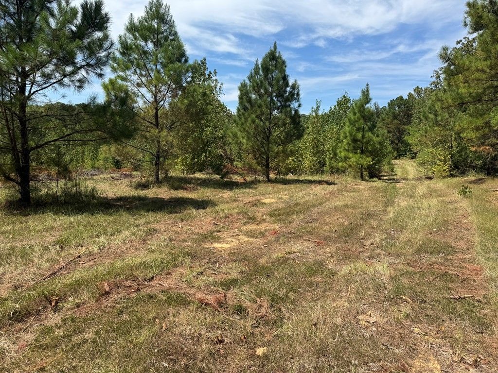 Photo of 00 Cr 367, OXFORD, MS 38655 (MLS # 161766)