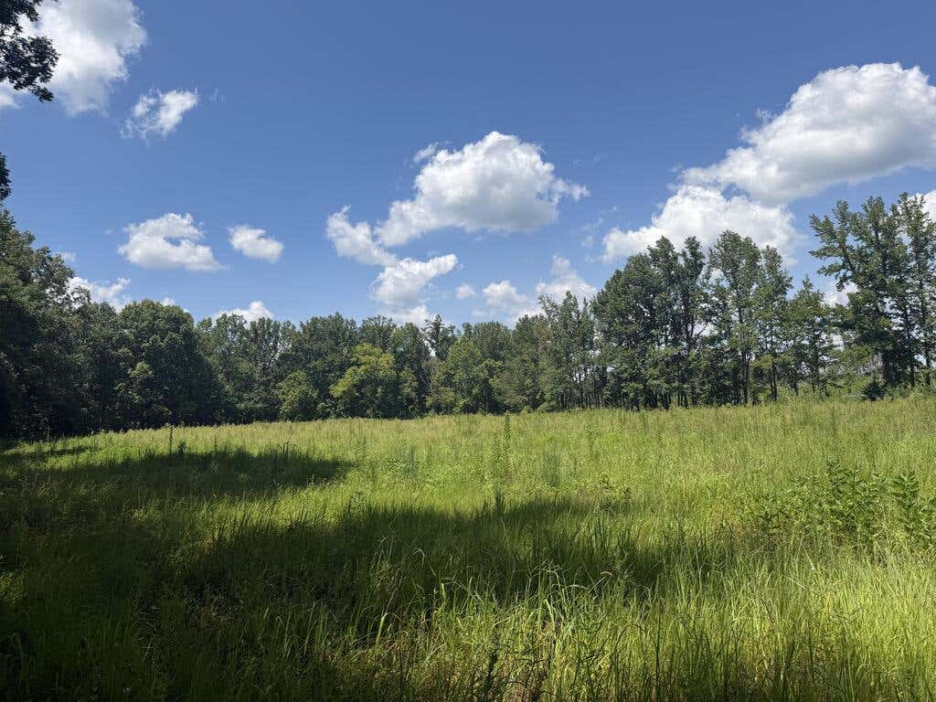 Photo of PARIS, MS 38949 (MLS # 168213)