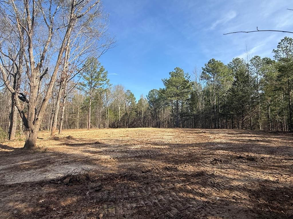 Photo of 00 Hwy 336, THAXTON, MS 38871 (MLS # 162287)
