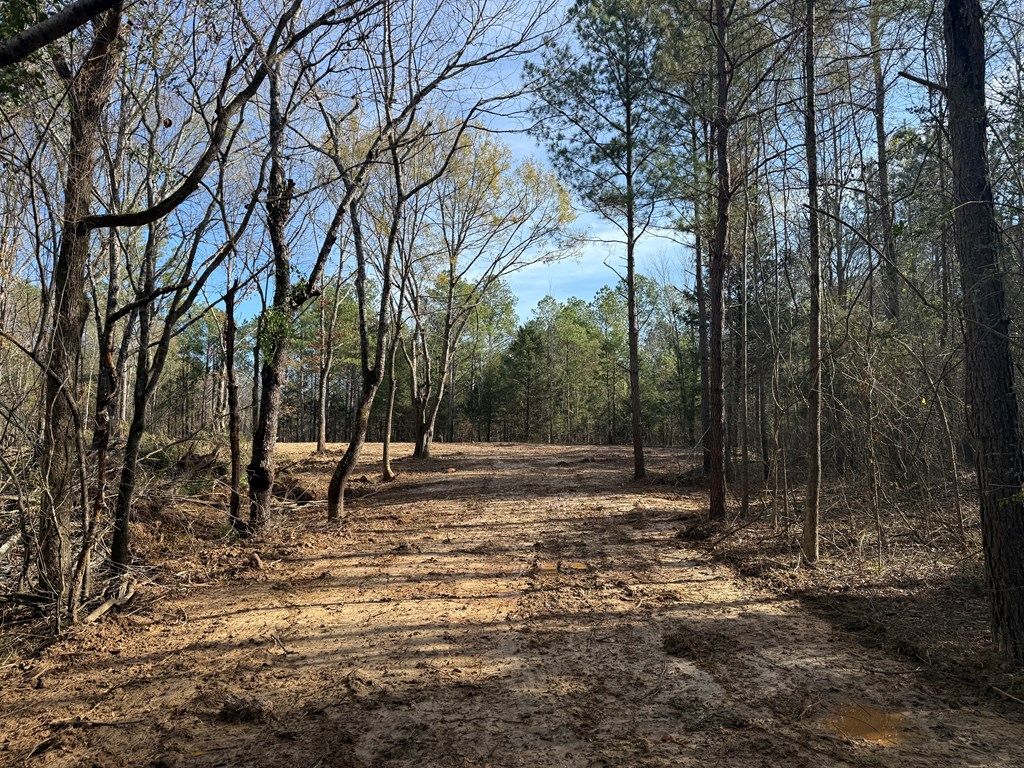 Photo of 00 Hwy 336, THAXTON, MS 38871 (MLS # 162287)