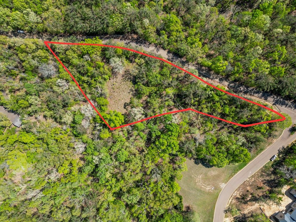 Photo of 178 Highlands Drive, OXFORD, MS 38655 (MLS # 167095)