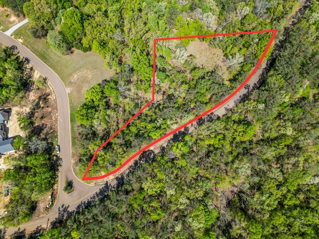 Photo of 178 Highlands Drive, OXFORD, MS 38655 (MLS # 167095)