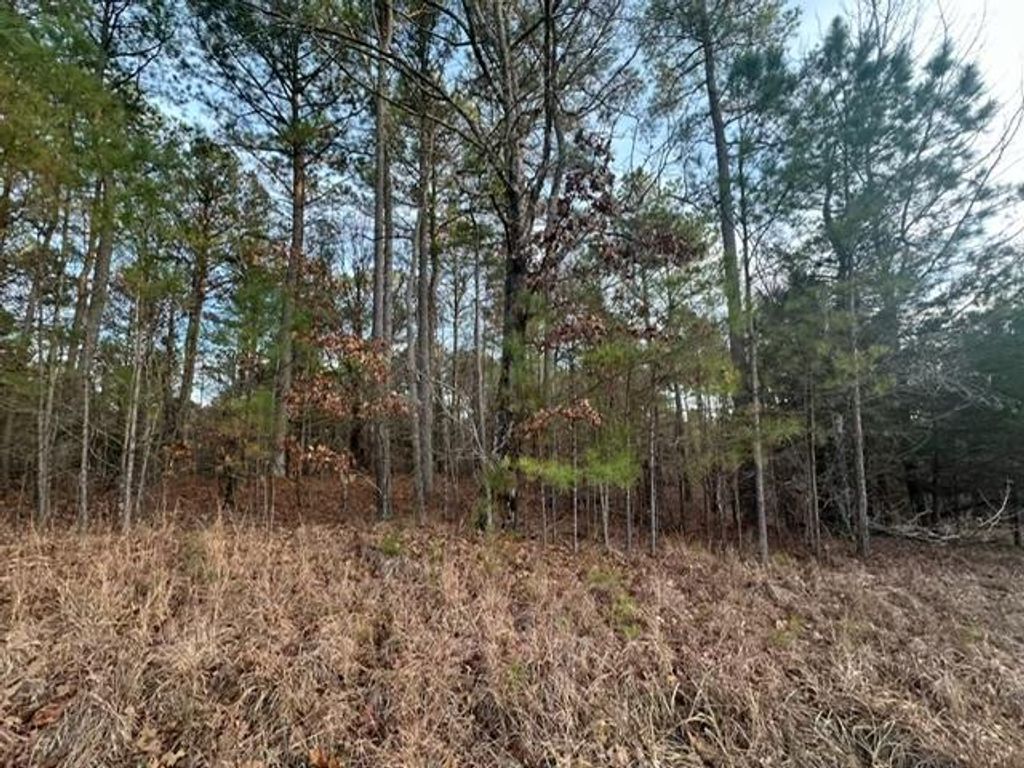 Photo of 706 Paddock Cove, OXFORD, MS 39655 (MLS # 162251)