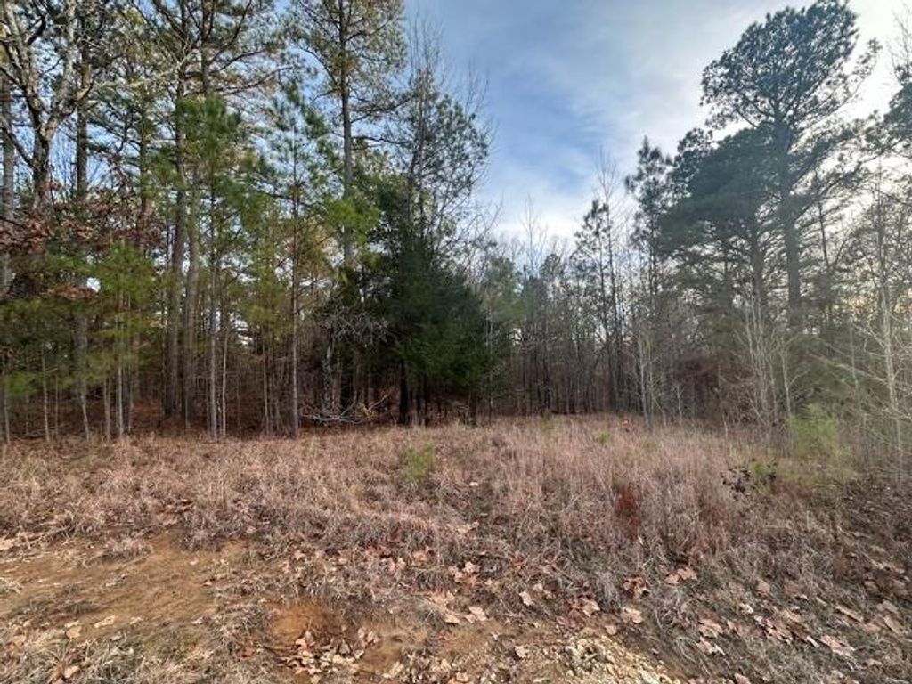 Photo of 706 Paddock Cove, OXFORD, MS 39655 (MLS # 162251)