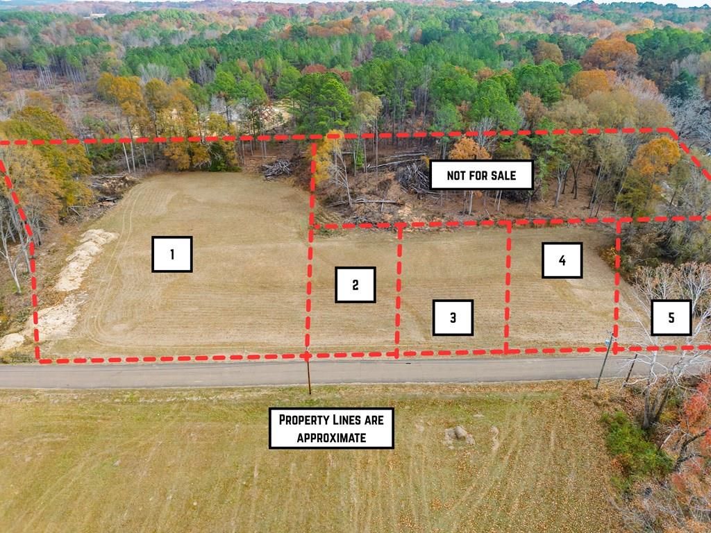 Photo of Lot 3 0.326 ac Boyd Street, WATER VALLEY, MS 38965 (MLS # 162185)