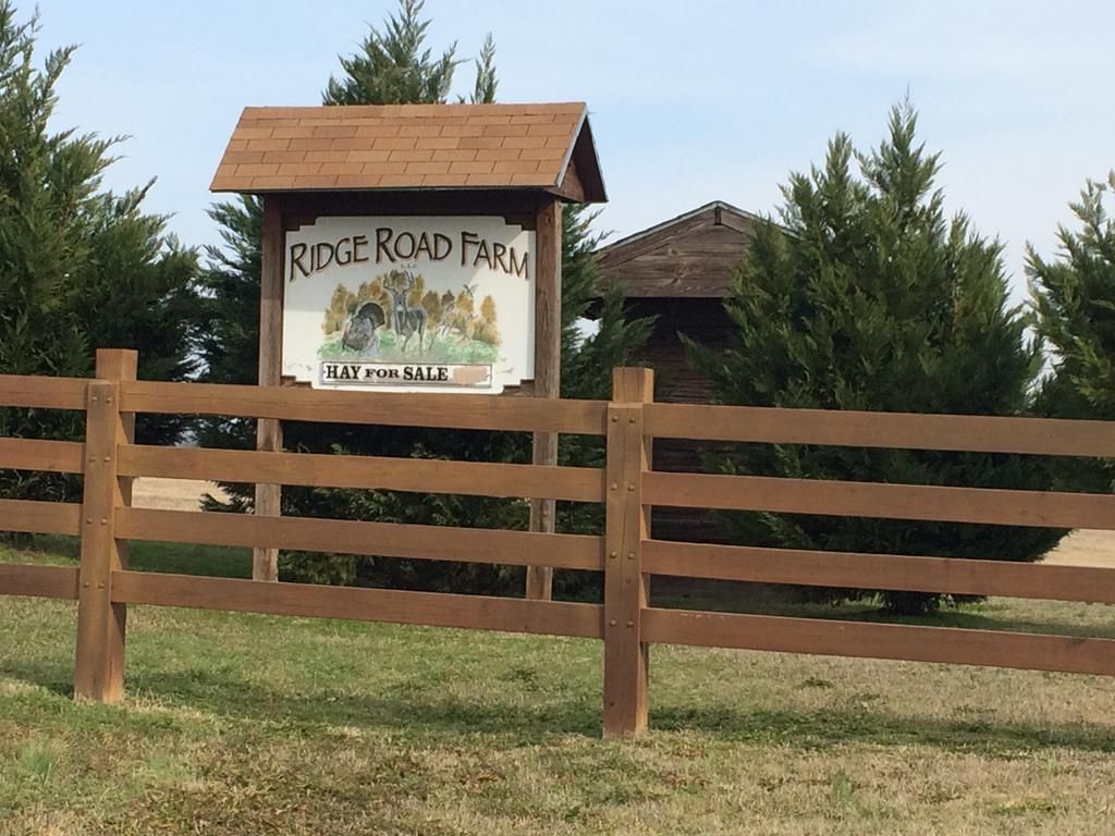 Photo of 416 County Road 215, ABBEVILLE, MS 38655 (MLS # 162206)