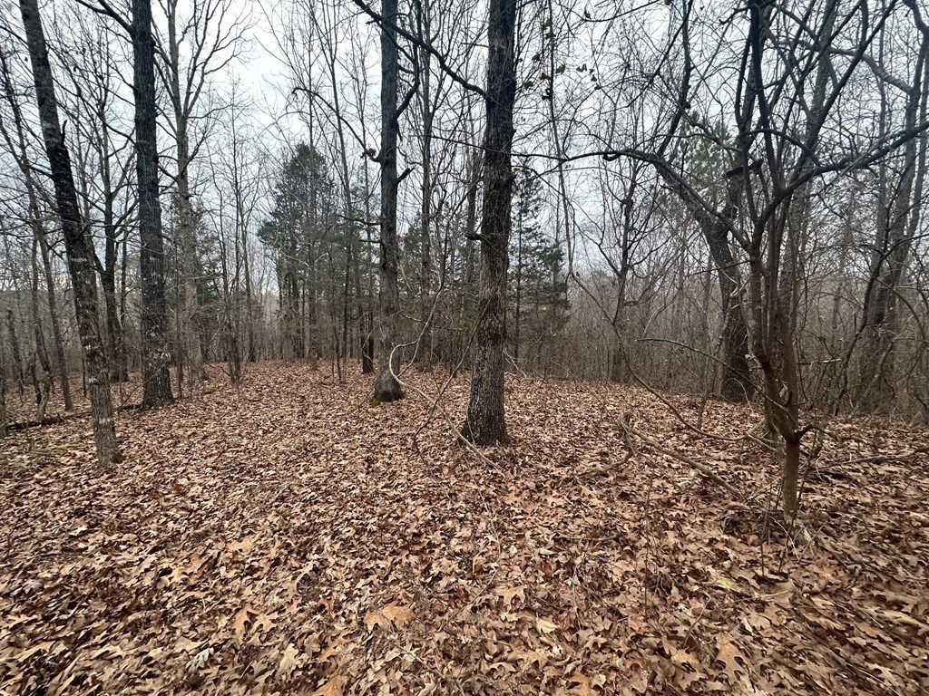 Photo of TBD Lakes Dr S, OXFORD, MS 38655 (MLS # 164491)