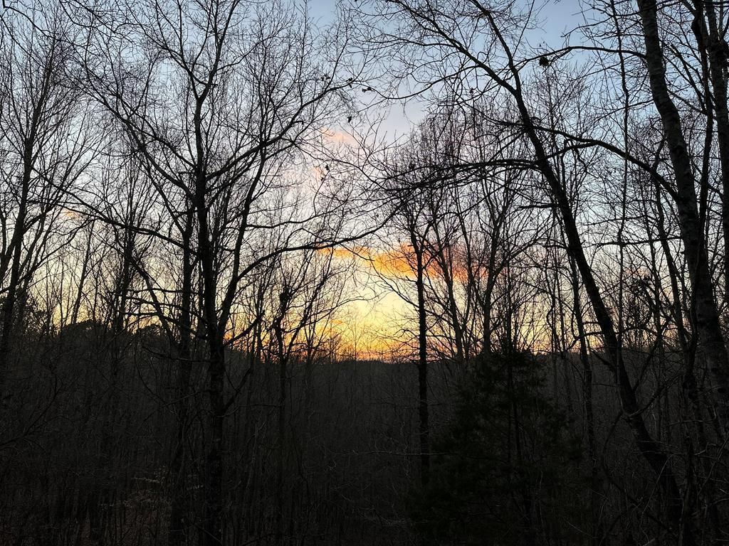 Photo of TBD Lakes Dr S, OXFORD, MS 38655 (MLS # 164491)