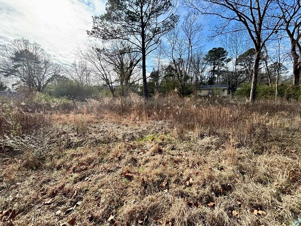 Photo of 1603 East Street, WATER VALLEY, MS 38965 (MLS # 164472)