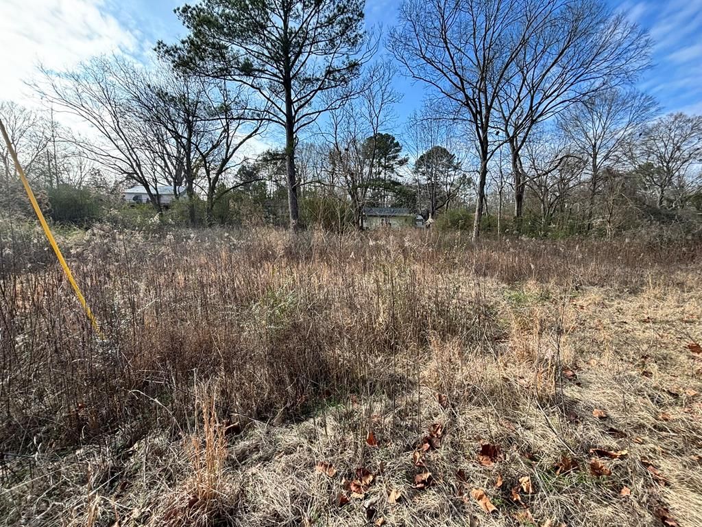 Photo of 1603 East Street, WATER VALLEY, MS 38965 (MLS # 164472)