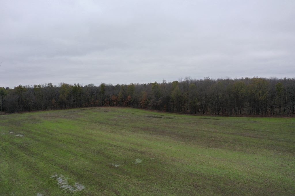 Photo of 2000 Walnut Lake Road-Dundee, OTHER, MS 38626 (MLS # 162202)