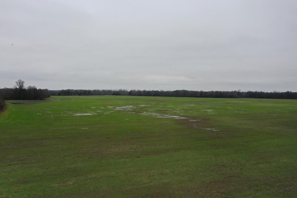 Photo of 2000 Walnut Lake Road-Dundee, OTHER, MS 38626 (MLS # 162202)