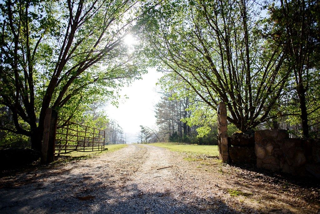 Photo of 68 Cr 317, OXFORD, MS 38655 (MLS # 167038)