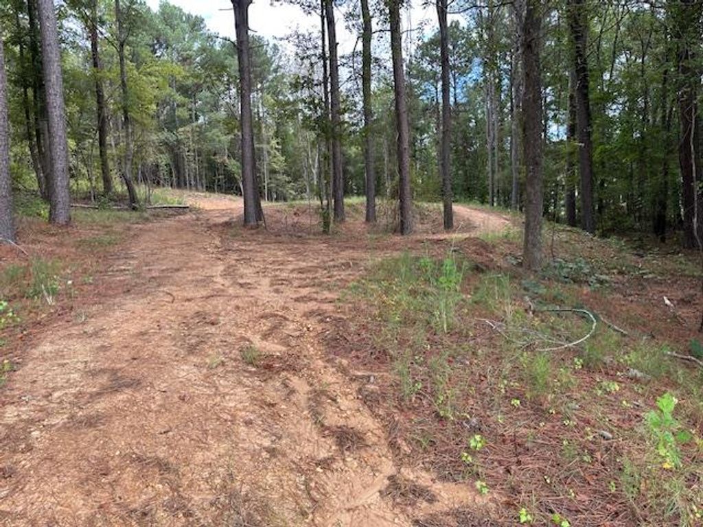 Photo of 1060 Hwy 6 W, OXFORD, MS 38655 (MLS # 166805)