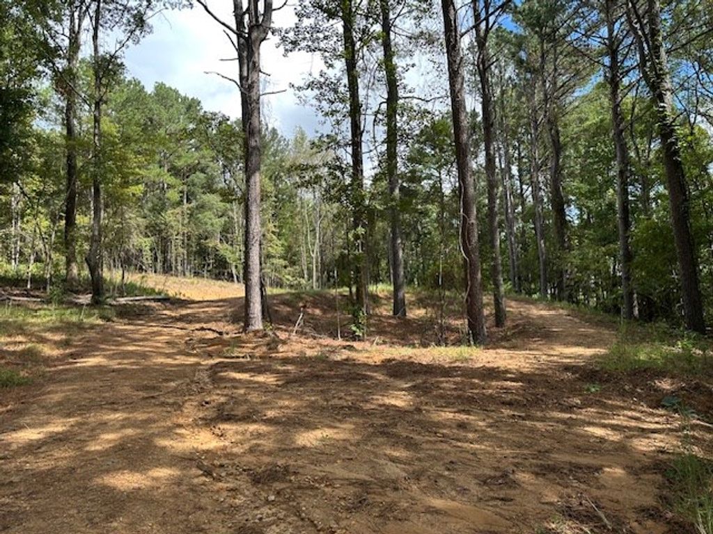 Photo of 1060 Hwy 6 W, OXFORD, MS 38655 (MLS # 166805)