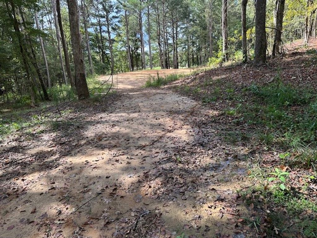 Photo of 1060 Hwy 6 W, OXFORD, MS 38655 (MLS # 166805)