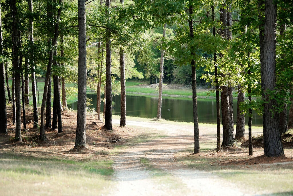 Photo of PARIS, MS 38949 (MLS # 168575)