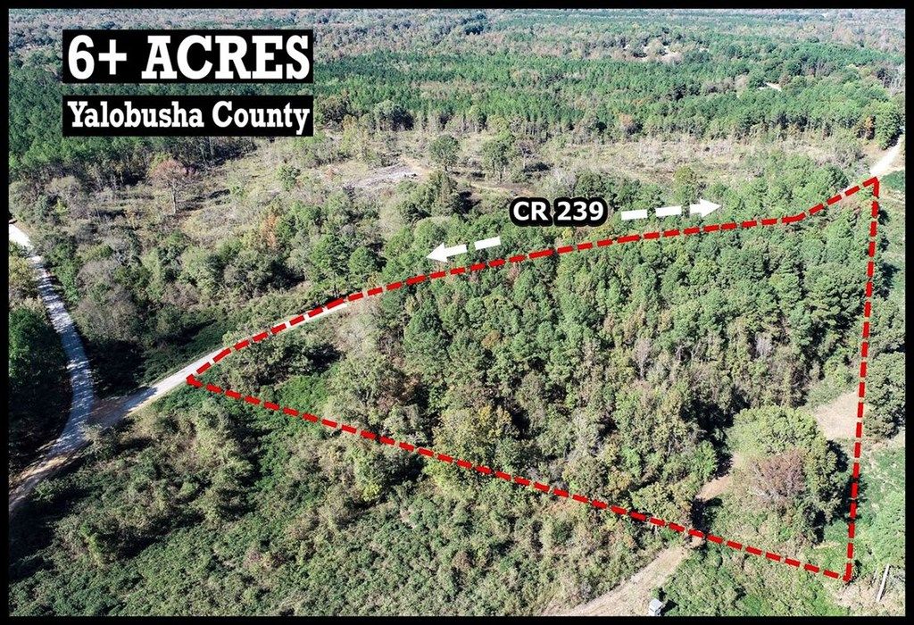 Photo of tbd Cr 239, TILLATOBA, MS 38961 (MLS # 164451)