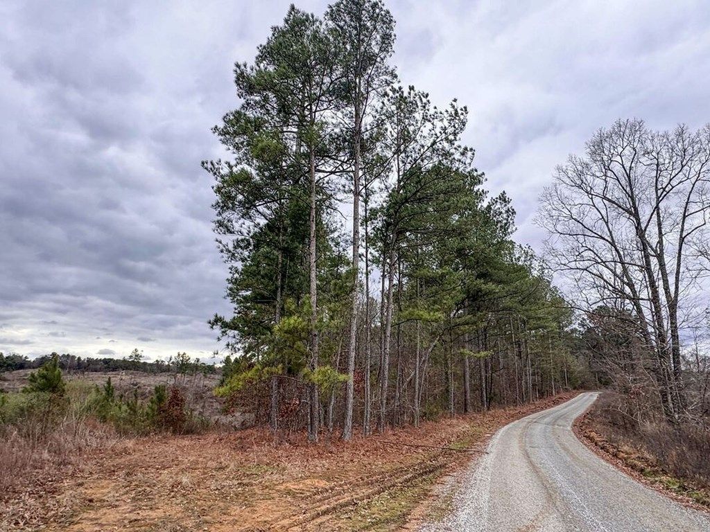 Photo of tbd Cr 239, TILLATOBA, MS 38961 (MLS # 164451)