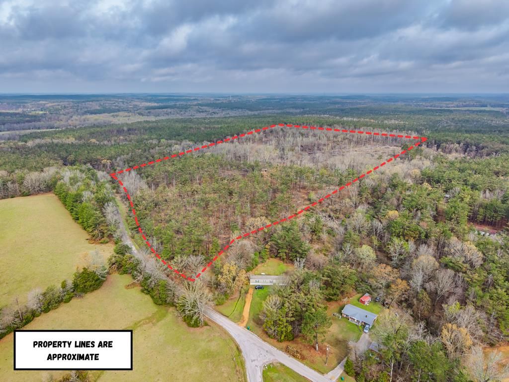 Photo of 63.20 ac County Road 15, WATER VALLEY, MS 38965 (MLS # 166845)