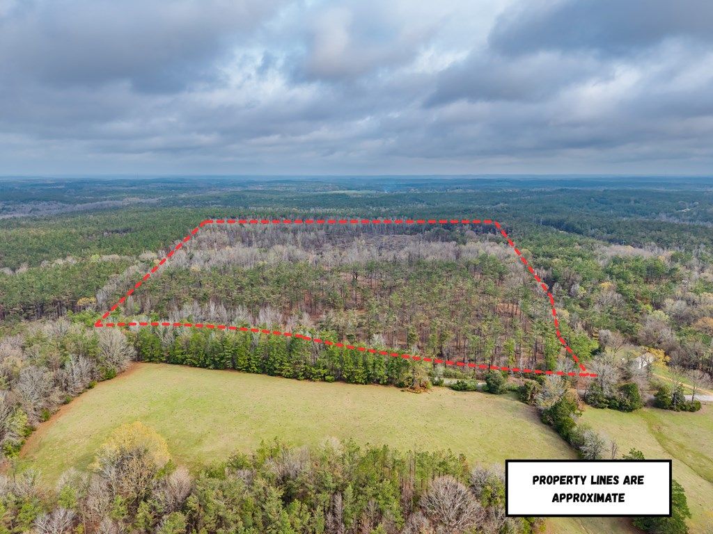 Photo of 63.20 ac County Road 15, WATER VALLEY, MS 38965 (MLS # 166845)