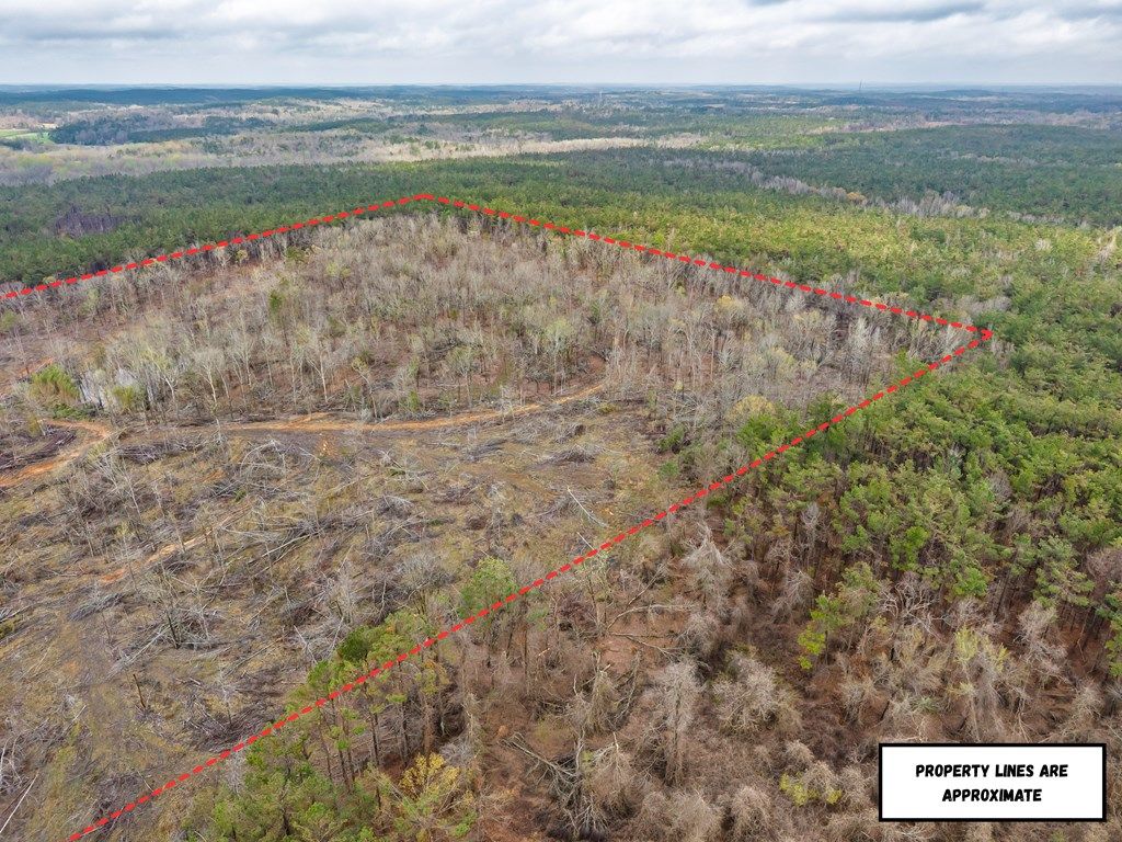 Photo of 63.20 ac County Road 15, WATER VALLEY, MS 38965 (MLS # 166845)