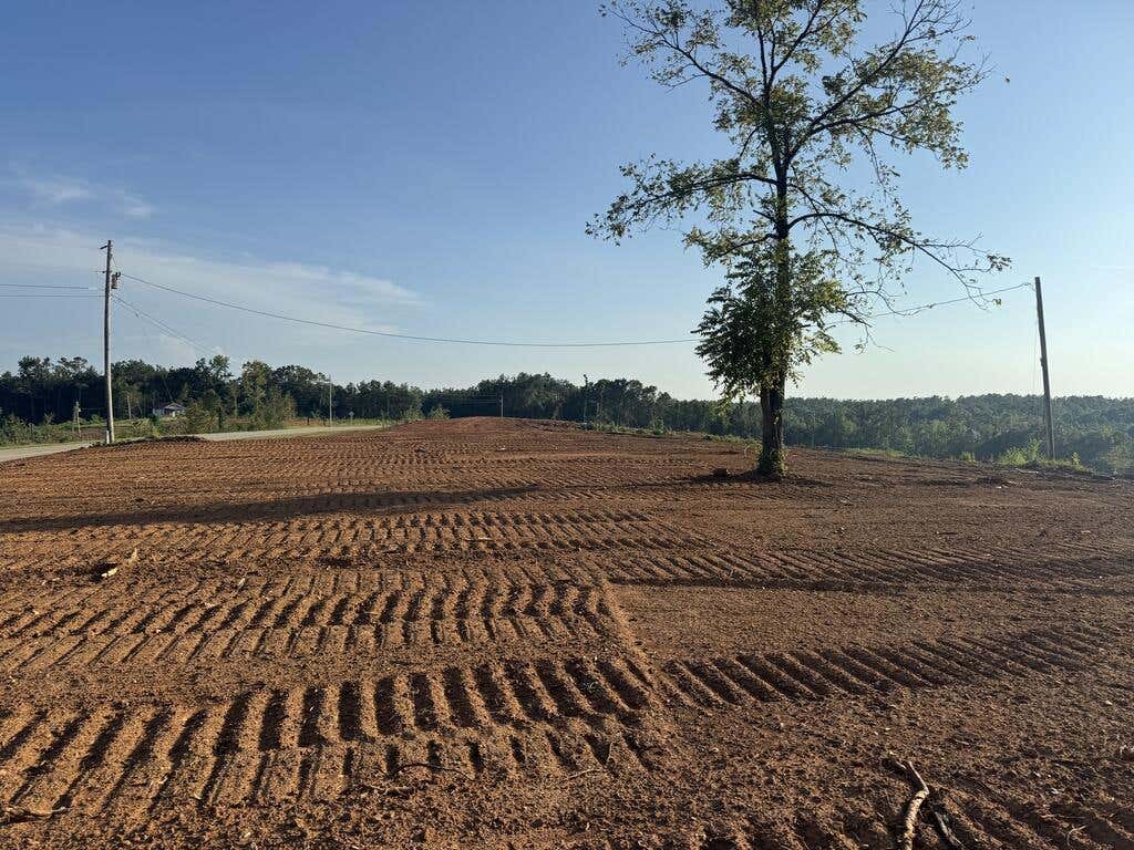 Photo of NEW ALBANY, MS 38652 (MLS # 168282)