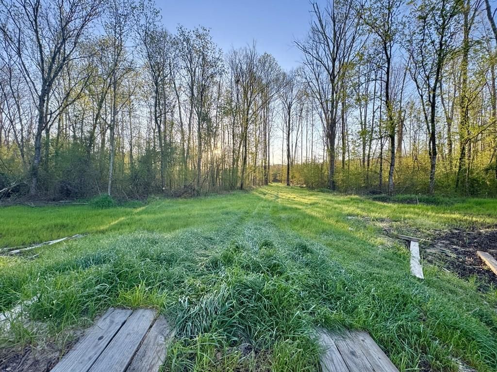 Photo of 3114 Cr 212, WATER VALLEY, MS 38965 (MLS # 166943)