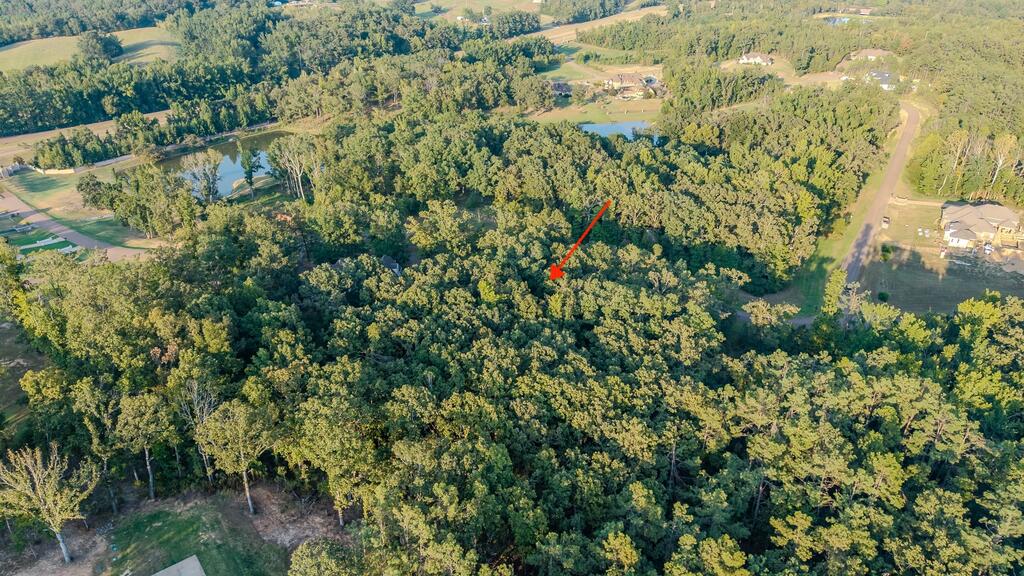 Photo of OXFORD, MS 38655 (MLS # 168407)
