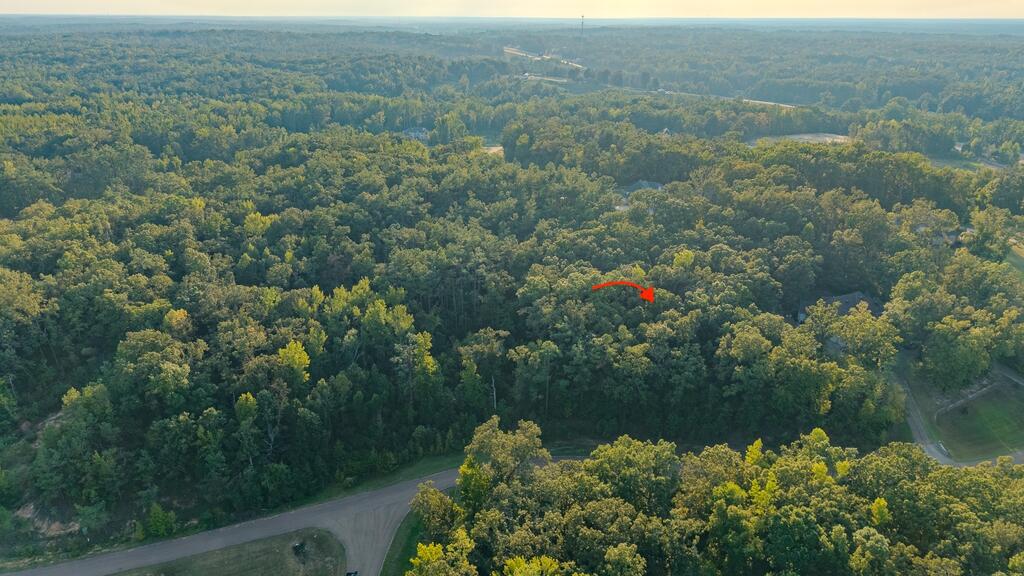 Photo of OXFORD, MS 38655 (MLS # 168407)