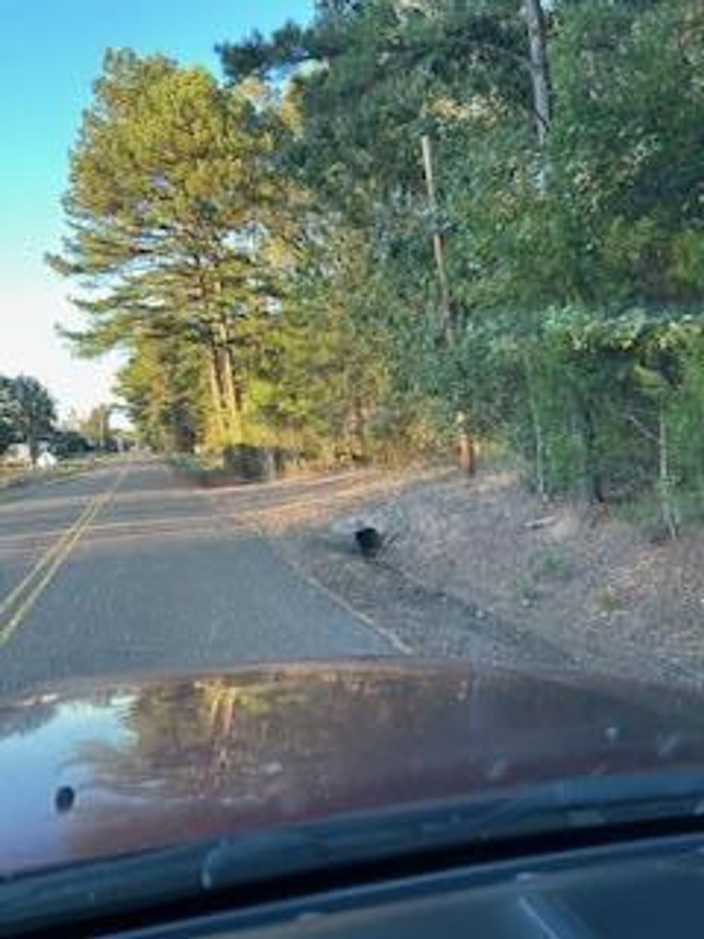 Photo of Tract 1 CR 369 and Hwy 9W, OXFORD, MS 38655 (MLS # 161976)
