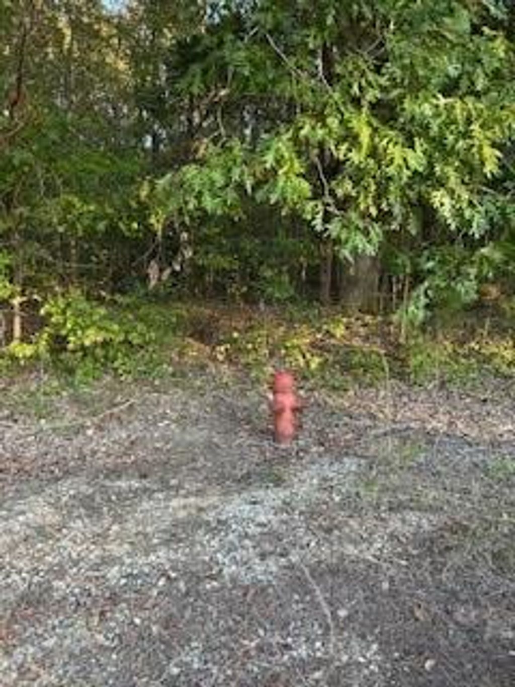 Photo of Tract 1 CR 369 and Hwy 9W, OXFORD, MS 38655 (MLS # 161976)