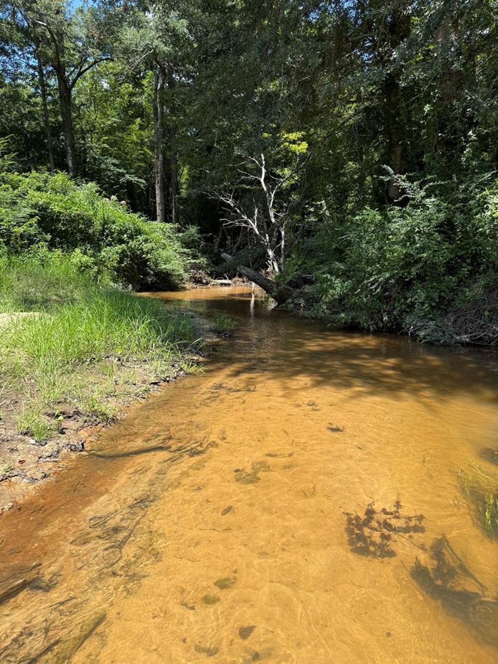 Photo of 00 Brooksville Rd, OTHER, MS 39339 (MLS # 161845)