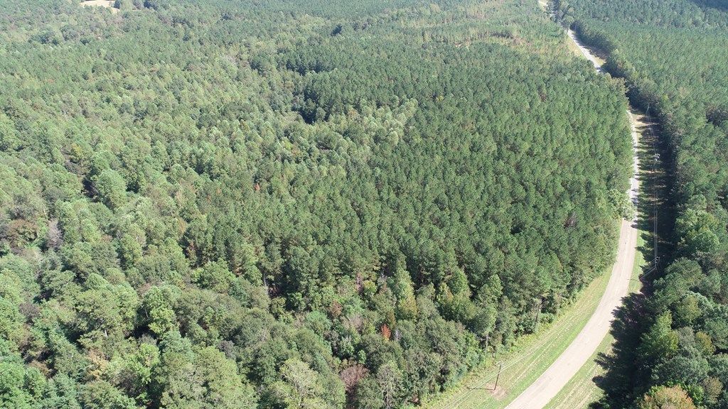 Photo of 00 Brooksville Rd, OTHER, MS 39339 (MLS # 161845)