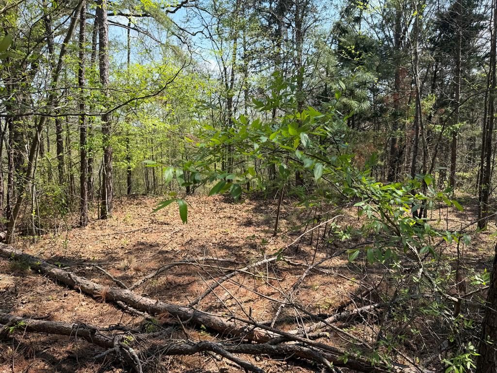 Photo of 000 County Road 104, WATER VALLEY, MS 38965 (MLS # 167231)