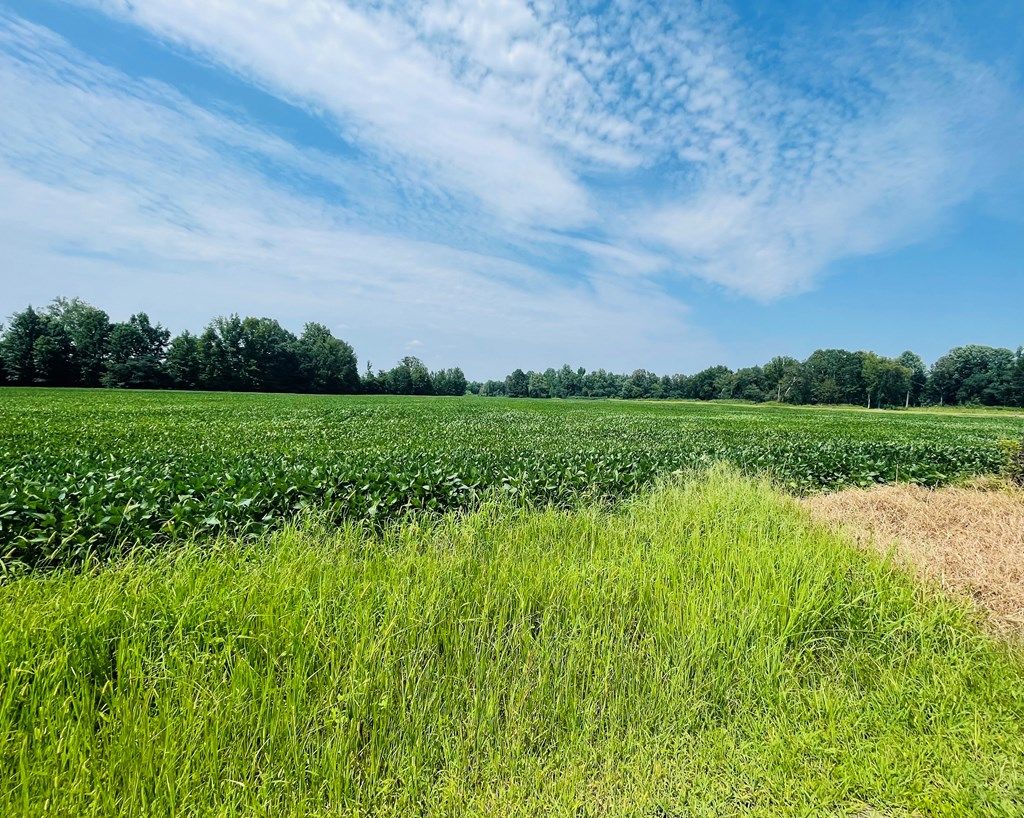 Photo of TBD Cr 428, OXFORD, MS 38655 (MLS # 167152)