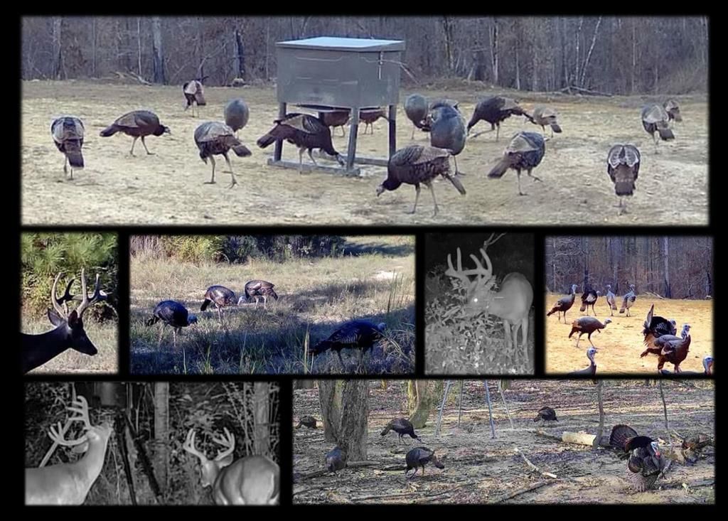 Photo of 3114 Cr 212, WATER VALLEY, MS 38965 (MLS # 161885)