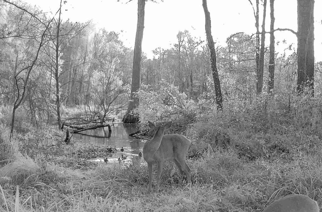 Photo of 3114 Cr 212, WATER VALLEY, MS 38965 (MLS # 161885)