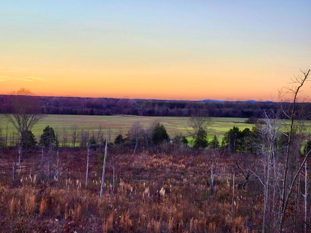 Photo of 0 Elder Lake Road, OTHER, MS 38829 (MLS # 164422)