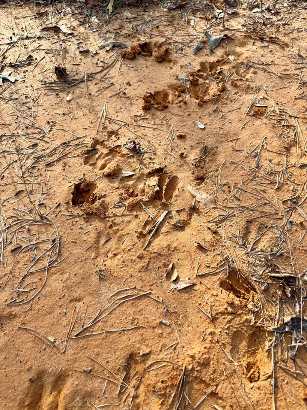 Photo of 0 Elder Lake Road, OTHER, MS 38829 (MLS # 164422)