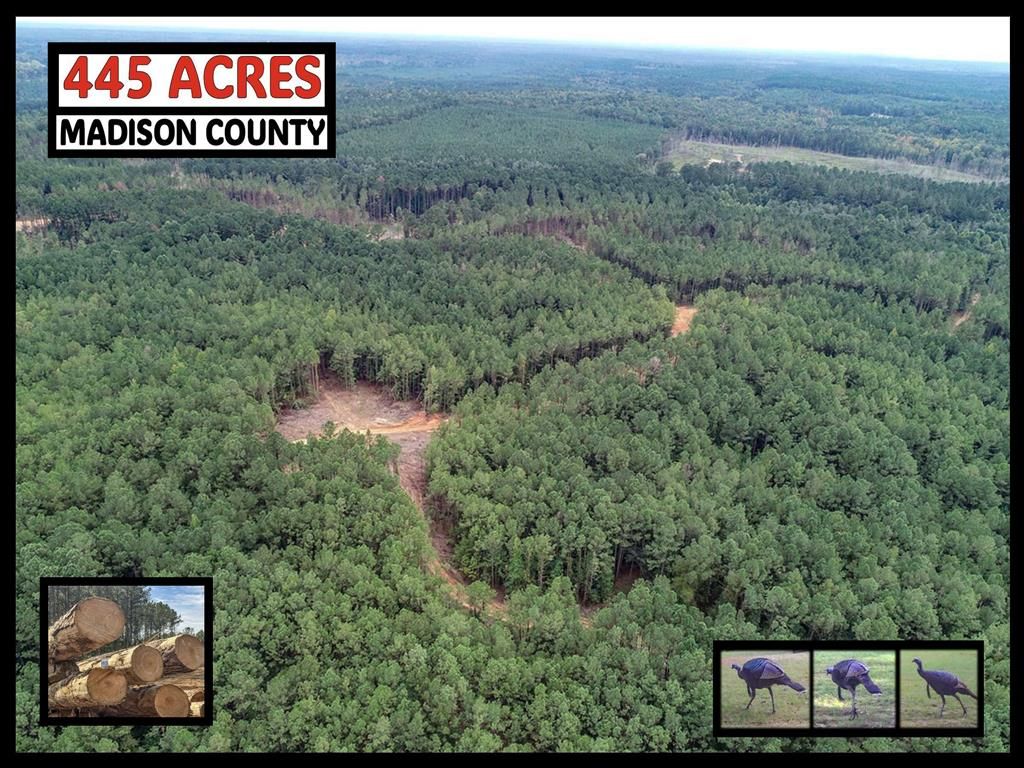Photo of 222 Beaverdam Rd - Camden - Madison County, OTHER, MS 39045 (MLS # 162339)